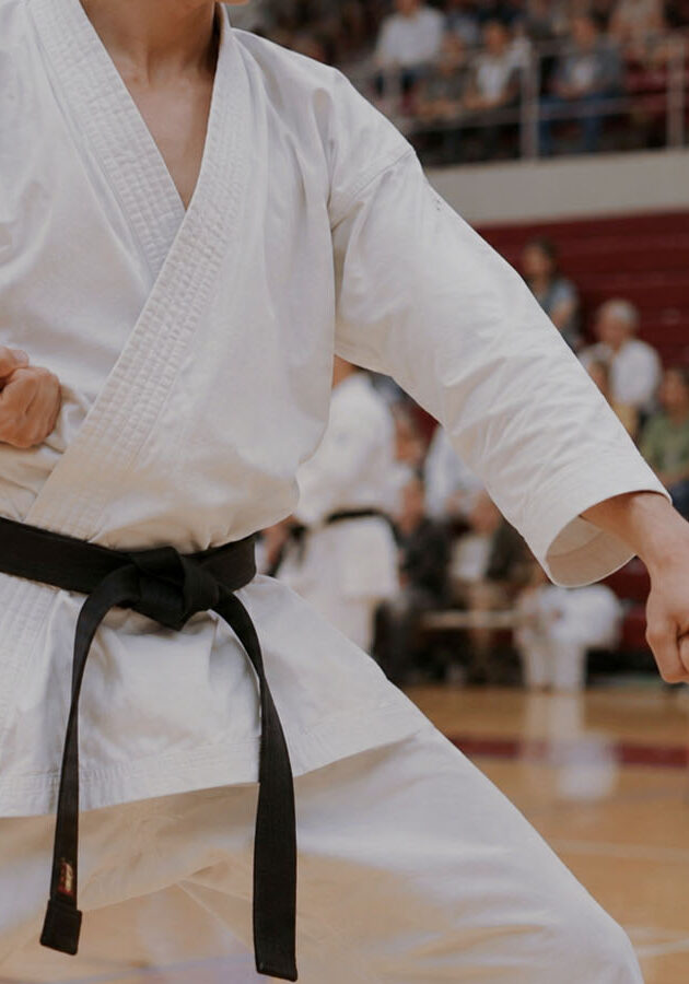 wado ryu karatedo