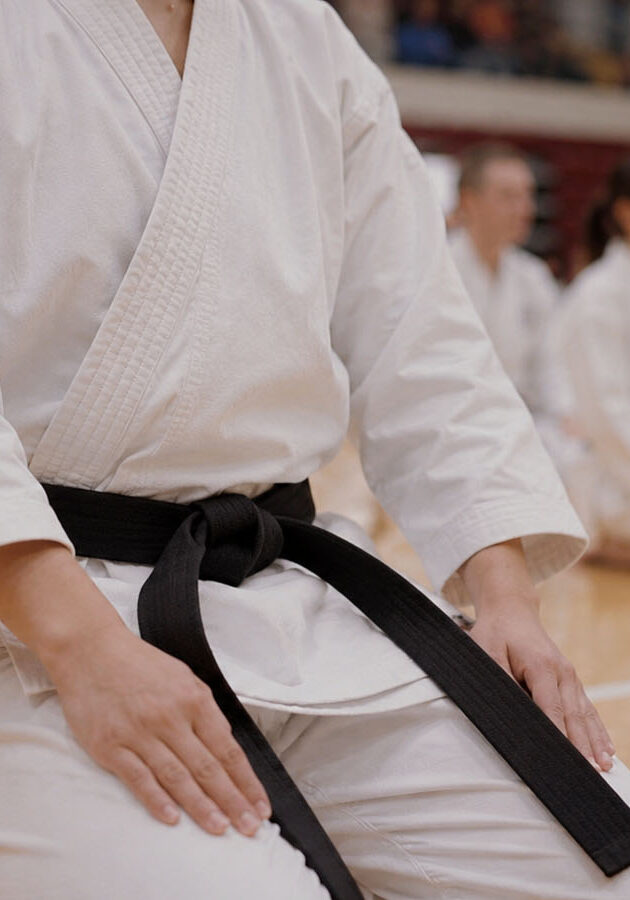 wado ryu united states karate
